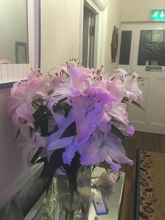 Jasmine House Bed & Breakfast New Quay Екстериор снимка